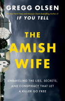 book cover for The Amish Wife
