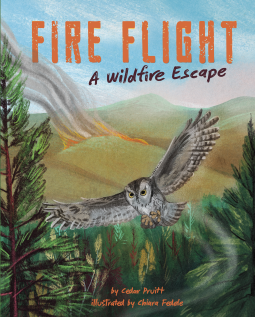 book cover for Fire Flight