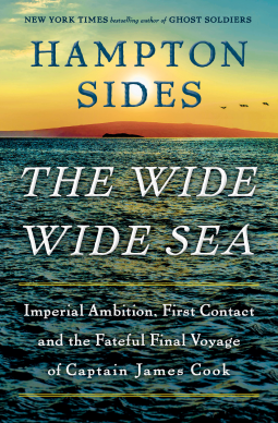 book cover for The Wide Wide Sea
