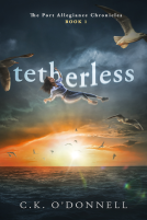 book cover for Tetherless