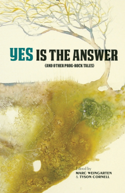 book cover for Yes Is The Answer