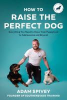 book cover for How to Raise the Perfect Dog