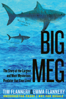book cover for Big Meg
