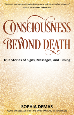book cover for Consciousness Beyond Death