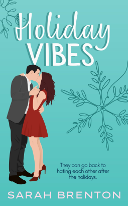 book cover for Holiday Vibes