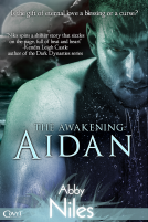 book cover for The Awakening: Aidan