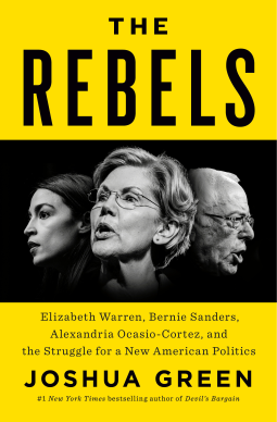 book cover for The Rebels