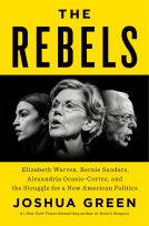 book cover for The Rebels