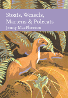 book cover for Stoats, Weasels, Martens and Polecats
