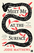 book cover for Meet Me at the Surface