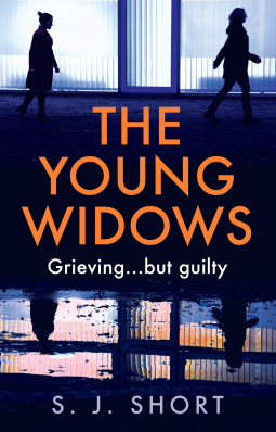 book cover for The Young Widows