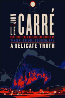 book cover for A Delicate Truth
