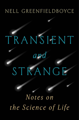 book cover for Transient and Strange