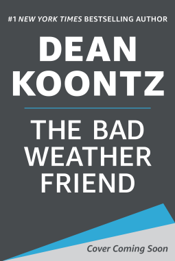 book cover for The Bad Weather Friend
