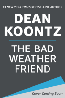 book cover for The Bad Weather Friend
