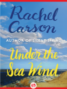 book cover for Under the Sea Wind