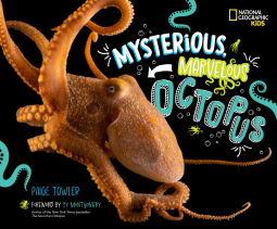 book cover for Mysterious, Marvelous Octopus