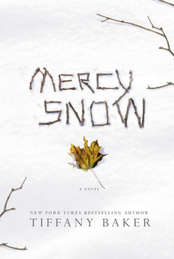 book cover for Mercy Snow