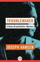 book cover for Troublemaker