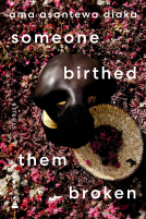 book cover for someone birthed them broken