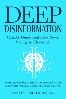 book cover for Deep Disinformation