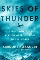 book cover for Skies of Thunder