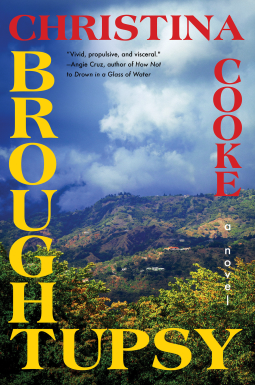 book cover for Broughtupsy