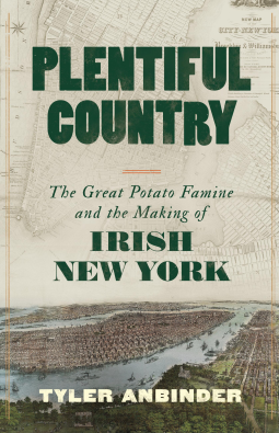 book cover for Plentiful Country