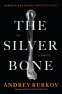 Cover Image: The Silver Bone