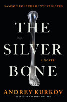 book cover for The Silver Bone