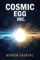 book cover for COSMIC EGG INC