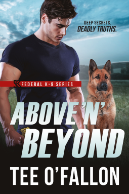 book cover for Above 'N' Beyond
