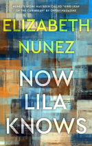 book cover for Now Lila Knows