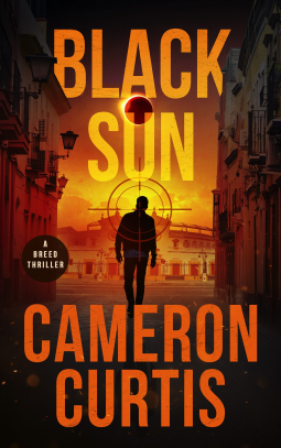 book cover for Black Sun