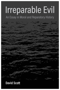 book cover for Irreparable Evil