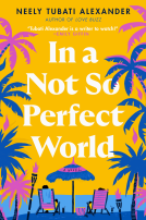 book cover for In a Not So Perfect World