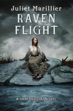book cover for Raven Flight