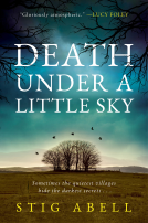 book cover for Death Under a Little Sky