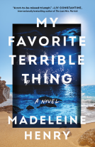 book cover for My Favorite Terrible Thing