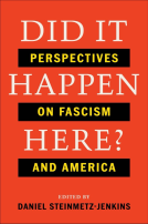 book cover for Did It Happen Here?