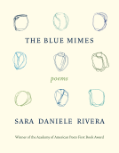 book cover for The Blue Mimes