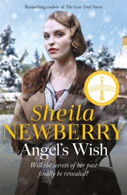 book cover for Angel's Wish