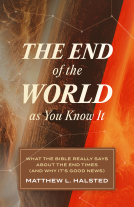 book cover for The End of the World as You Know It