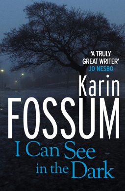 book cover for I Can See in the Dark