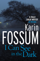 book cover for I Can See in the Dark