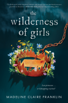 book cover for The Wilderness of Girls