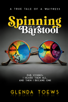 book cover for Spinning on a Barstool