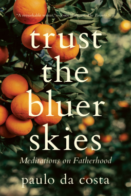 book cover for Trust the Bluer Skies