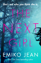 book cover for The Next Girl