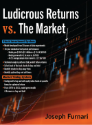 book cover for Ludicrous Returns vs. The Market